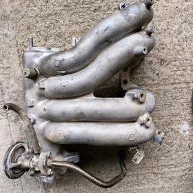 babyçka 2.2