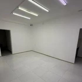 подвал