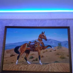 Portret elde cekilen Yanardag