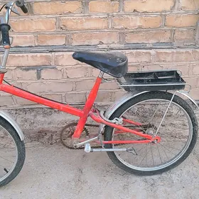tigir welsopet kama 