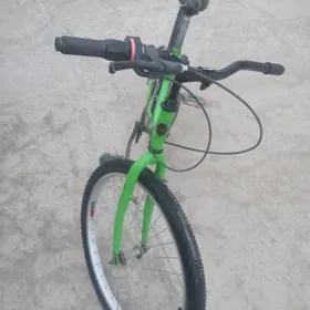 Welik