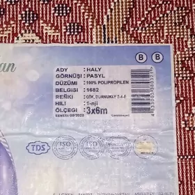 Haly