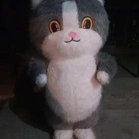 surpriz mişka