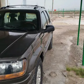 Jeep Grand Cherokee 1999