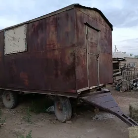 wagon