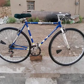 Welosipet Sportivni