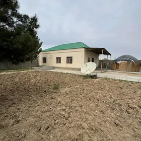 Anew Onaldy oba