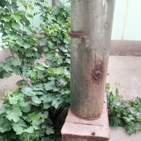 Титан