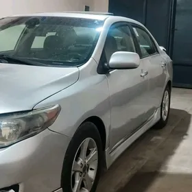 Toyota Corolla 2010