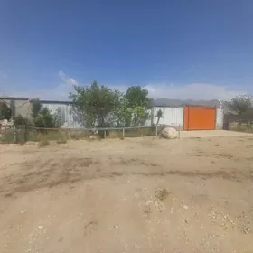 Satlyk Daca