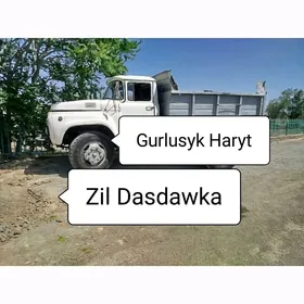 SEMENT MITI KERPIÇ ÇAGE MYTY D