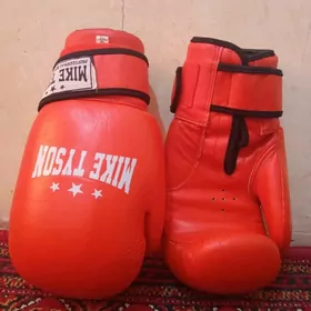 Spor ucin percatka