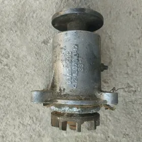 Pompa moskwic