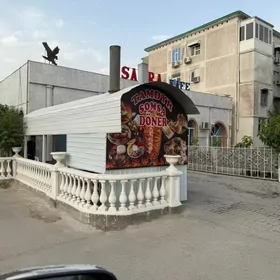 arenda tamdyr doner