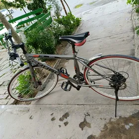 Tigir OEM 700C