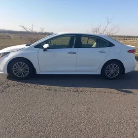 Toyota Corolla 2020