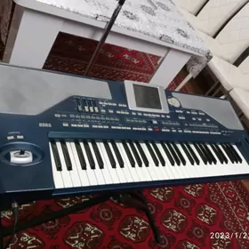 korg pa800