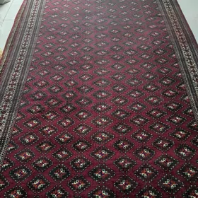 WEl Halylar
