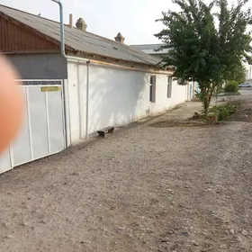 satlyk jaý