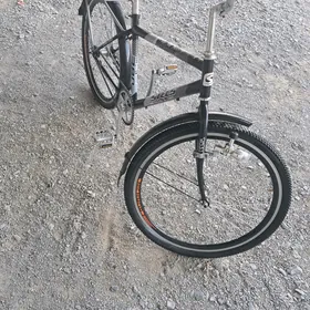 tigir stels 26 lyk