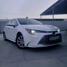 Toyota Corolla 2020