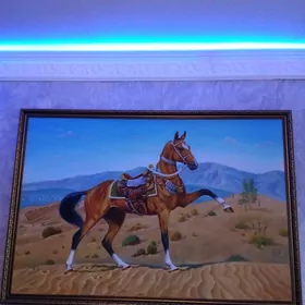 Portret elde cekilen yanardag.