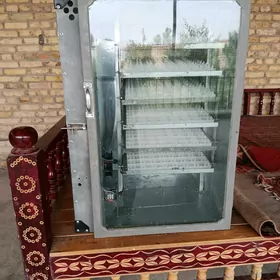 Inkubator