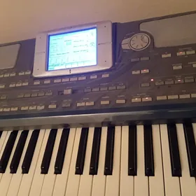 korg pa800