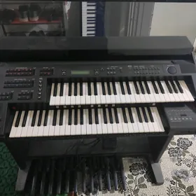 Yamaha
