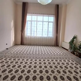 ELITKA UCIN ARZAN TAZEJE HALY!