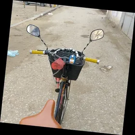26