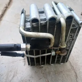 radiyator  kanisaner  içki