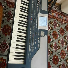 korg pa800