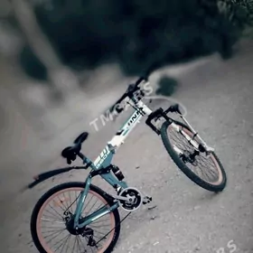 BMW VELIK