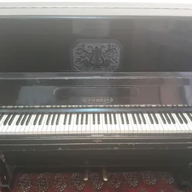 pionino