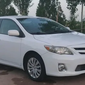 Toyota Corolla 2008