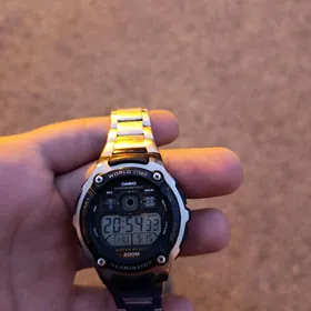 Casio Original