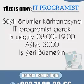 IT programist