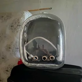 насилка для кошки