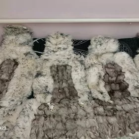 Чехол