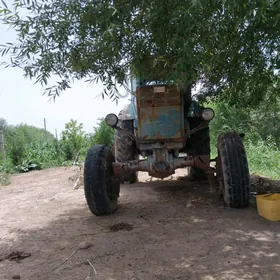 MTZ T-28 2022