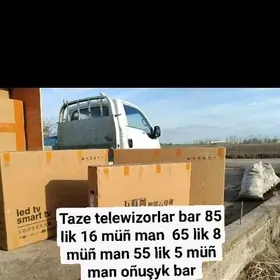 Telewizor