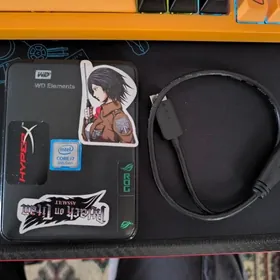 Daşky HDD WD 1 TB