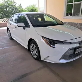 Toyota Corolla 2020