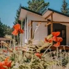 zaton dacha