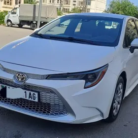 Toyota Corolla 2020