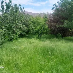 Gökdepe 8ýap mellek ýer