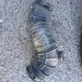 хова гофра