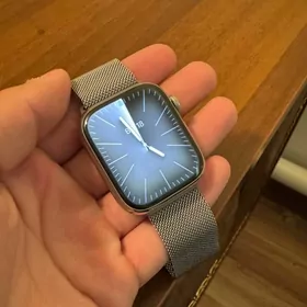 Apple watch 7 stainless steel