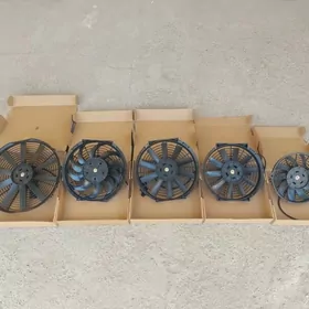 Elektor miltilyatyt